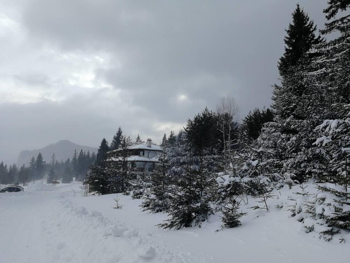 IV Apartment In The Wonderful Rhodope Mountain 斯莫梁 外观 照片