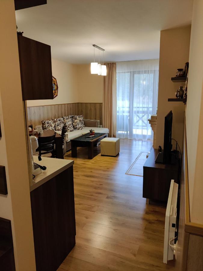 IV Apartment In The Wonderful Rhodope Mountain 斯莫梁 外观 照片