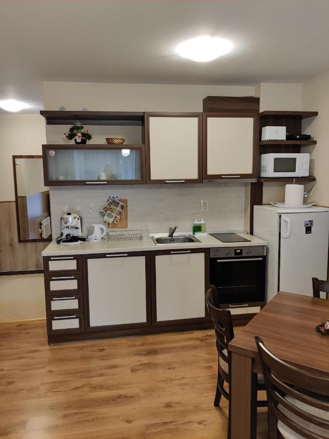 IV Apartment In The Wonderful Rhodope Mountain 斯莫梁 外观 照片